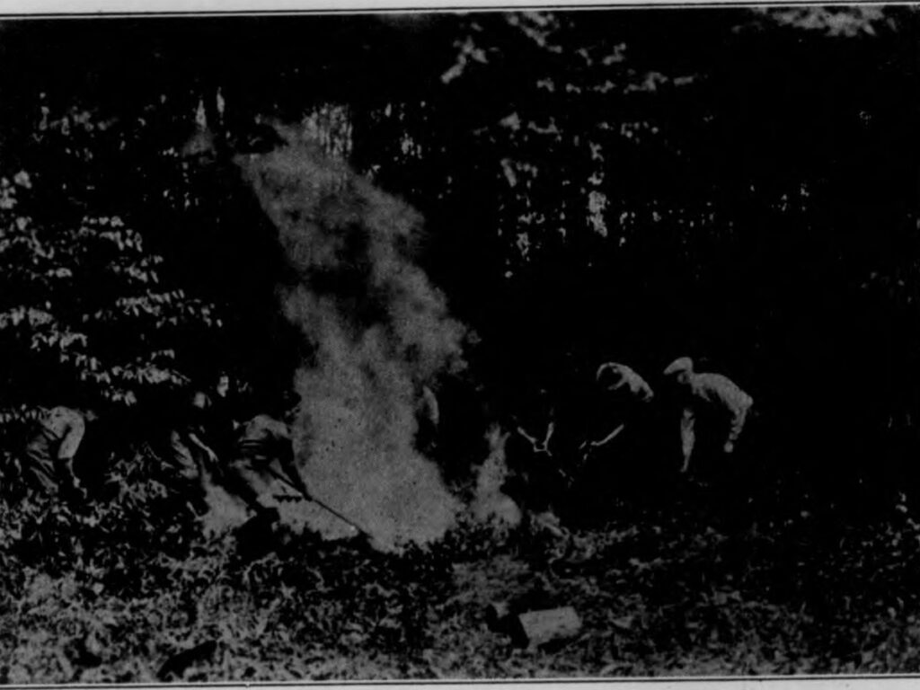 Bulletin (Pennsylvania Department of Forests and Waters), no. 33-35 (1923) (20492186272)